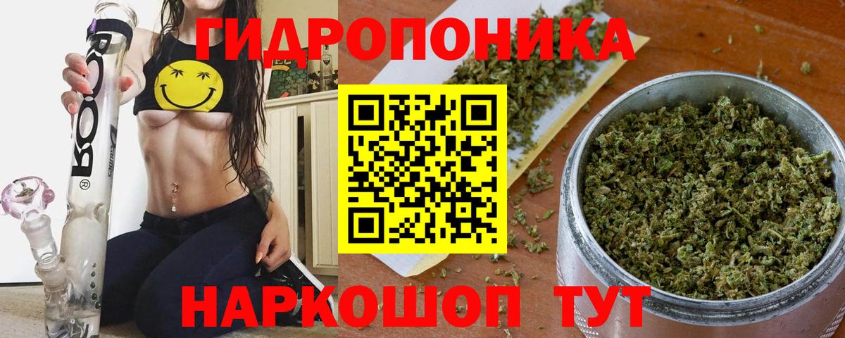 Шишки марихуана планчик  Конопля MAZAR  Архангельск  Каннабис сатива  Вход с VPN 