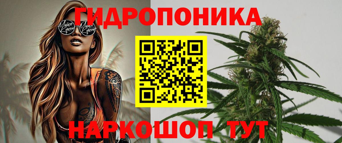 Шишки марихуана LSD WEED Архангельск